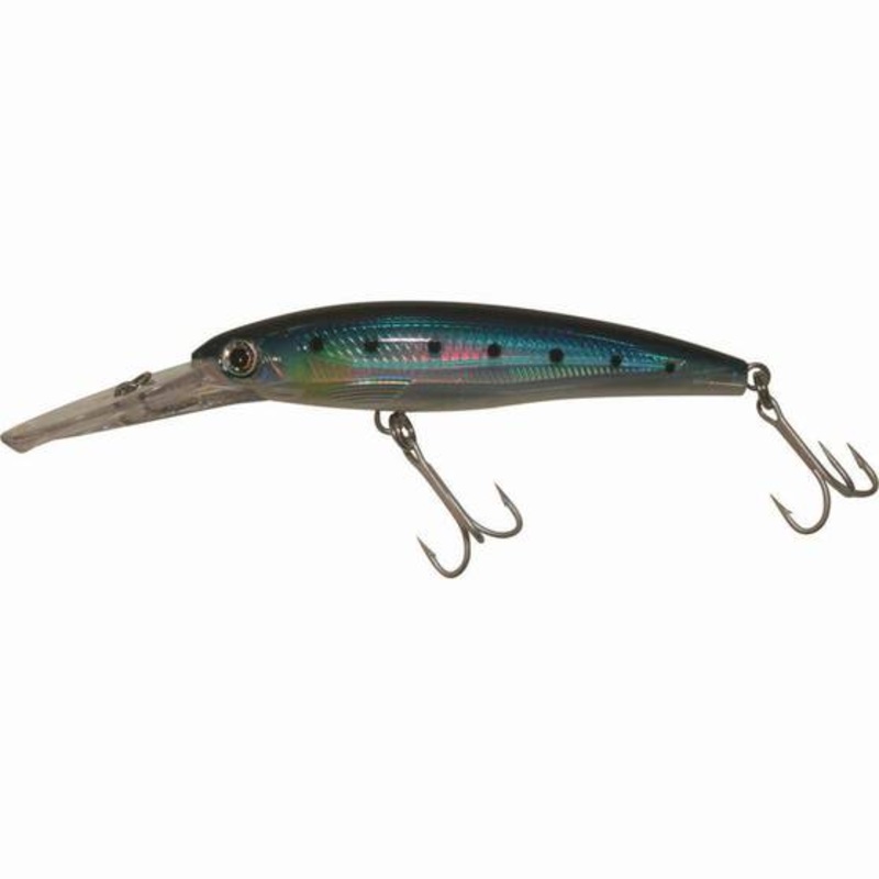 Rapala Saltwater X Rap 10 Magnum XRAMAG10 Hard Body Lure Blue Sardine