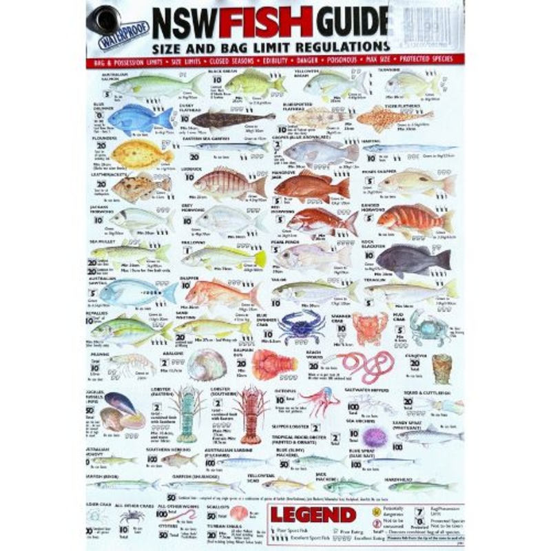 AFN Waterproof NSW Fish Id Card 30CM