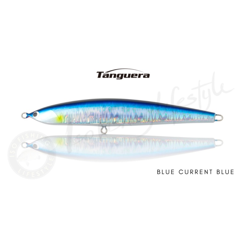 Fish Trippers Tanguera 240mm 120g Black Back Light Blue