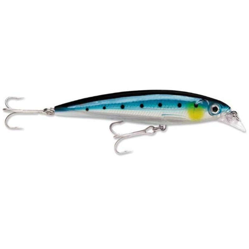 Rapala SXR10 X-Rap Plug BLUE SARDINE