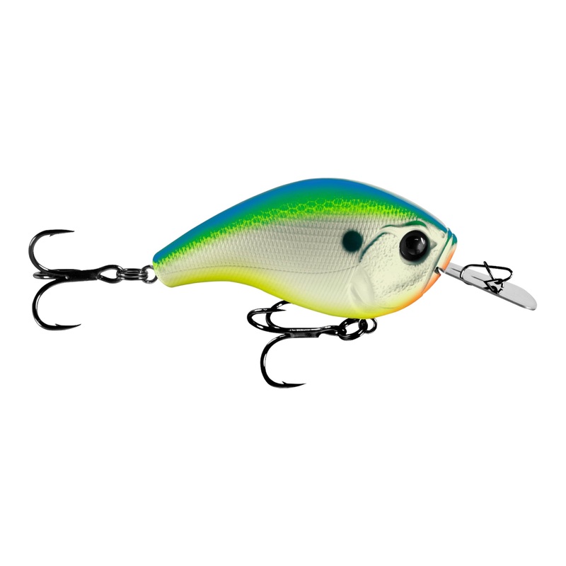 13 Fishing Jabber Jaw 60 Hybrid Squarebill Crankbait Citrus Shad