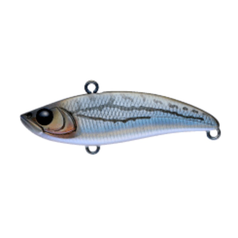 APIA Uprizing59 – 59mm #09 MULTIFISH (KITAZOE SP)