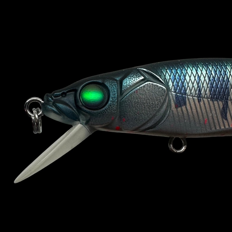 TRT Exclusive Limited Megabass Vision 110 Frozen Bloody Hasu