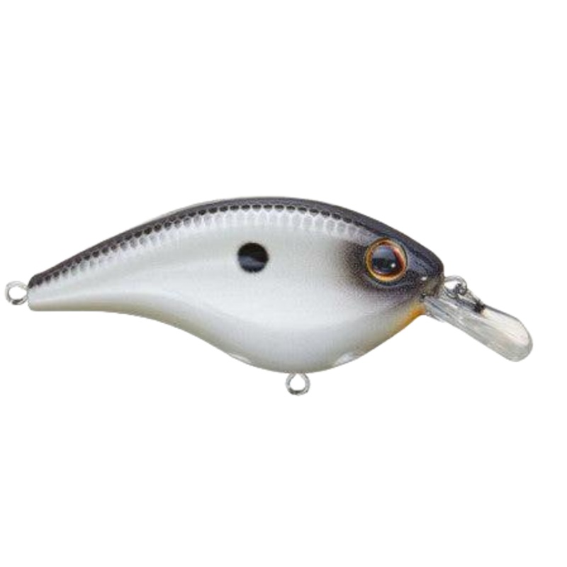 Berkley Frittside – Midnight Pearl