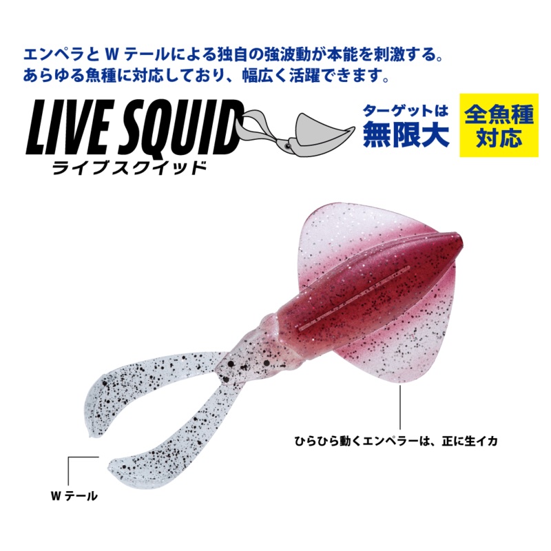 Major Craft Live Squid 4 inch SQUID 4 #1