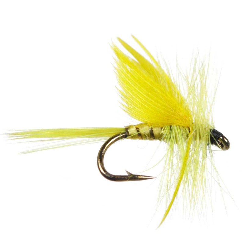 Yellow Sally #10