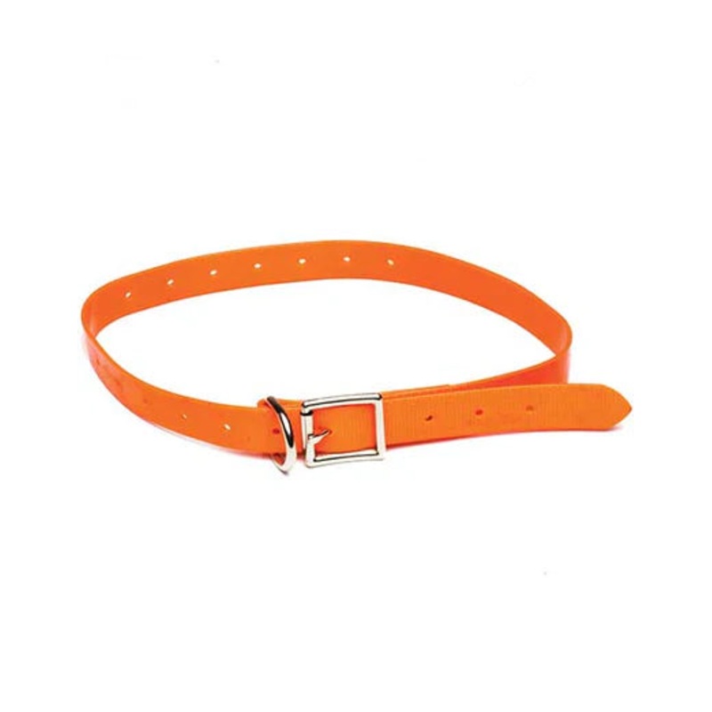 RPR Pig Dog Yard Collar