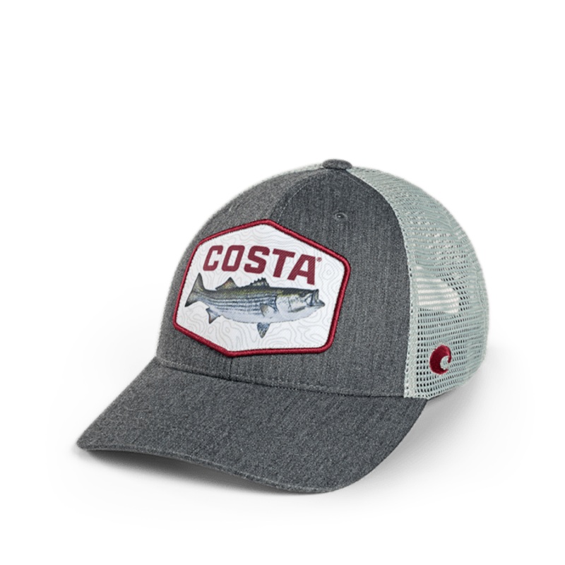 Costa del Mar Topo Striped Bass Trucker