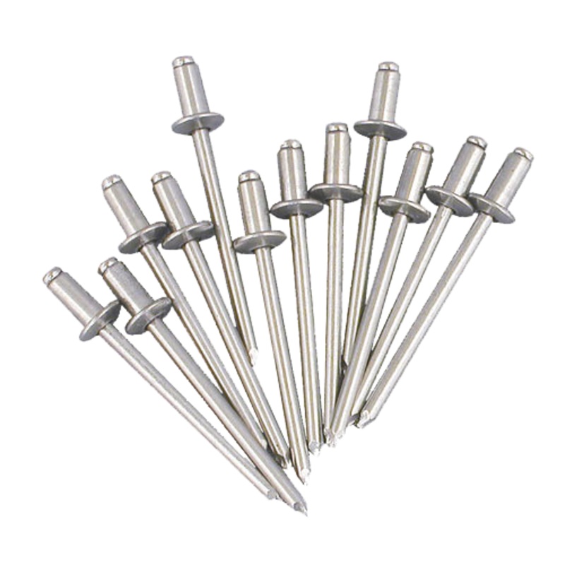 Champion Stainless Steel 304 Rivet 1/8 inch x 1/4 inch