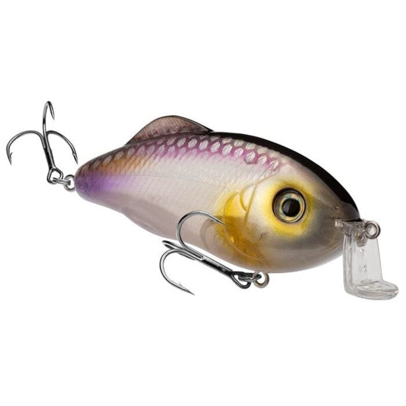 Strike King Hybrid Hunter Crankbait Clearwater Minnow Hybrid Hunter