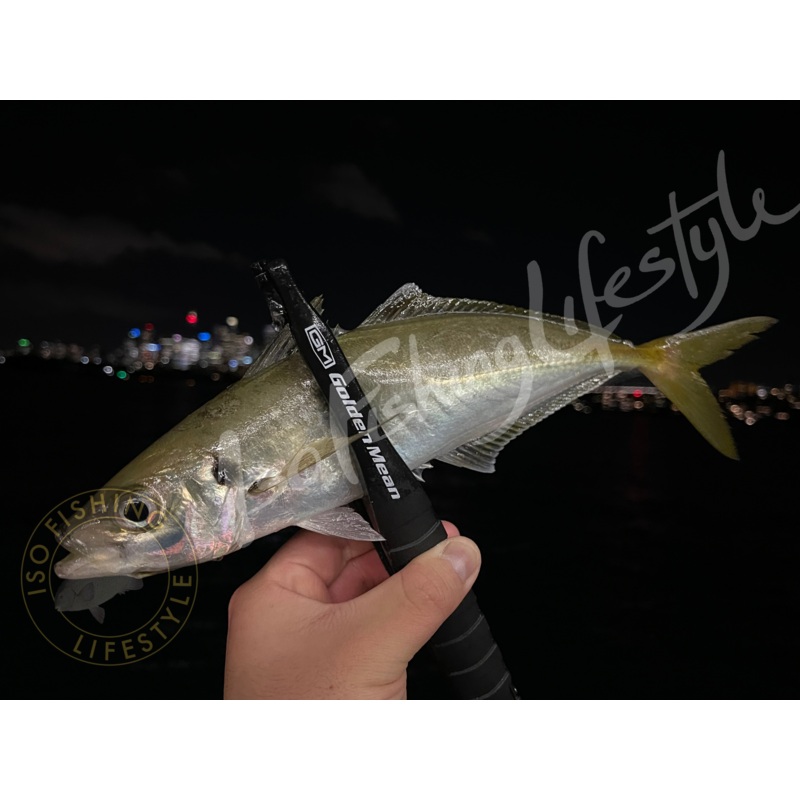 Golden Mean GM Capture Grip Black