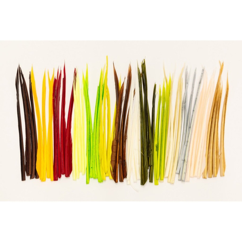 Turkey Biots Black