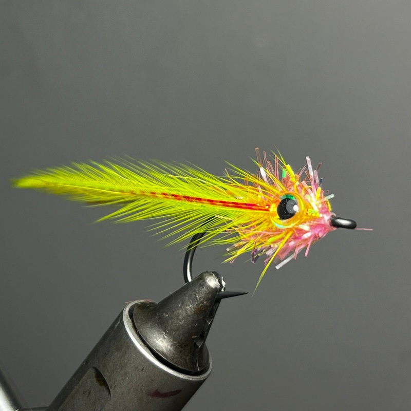 Albie Escort #1/0 Pearl