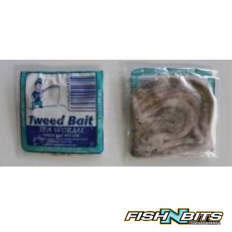 Tweed Bait – Sea Worms