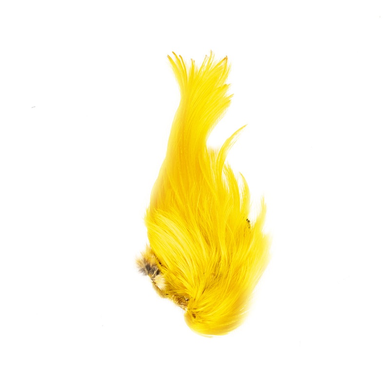 GOLDEN PHEASANT CREST ONE