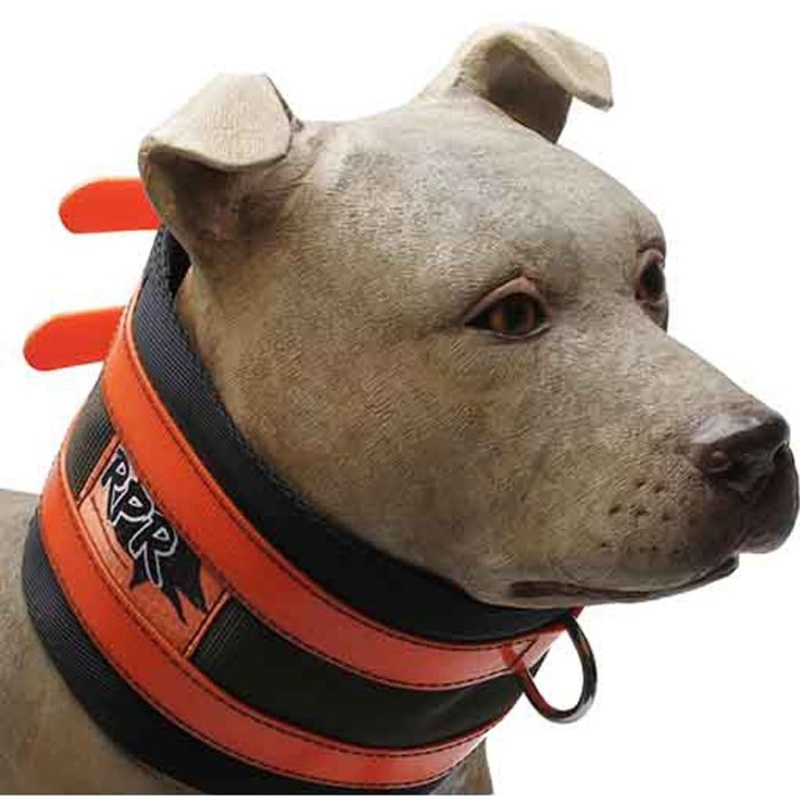RPR Ridge Cut Pig Dog Collar