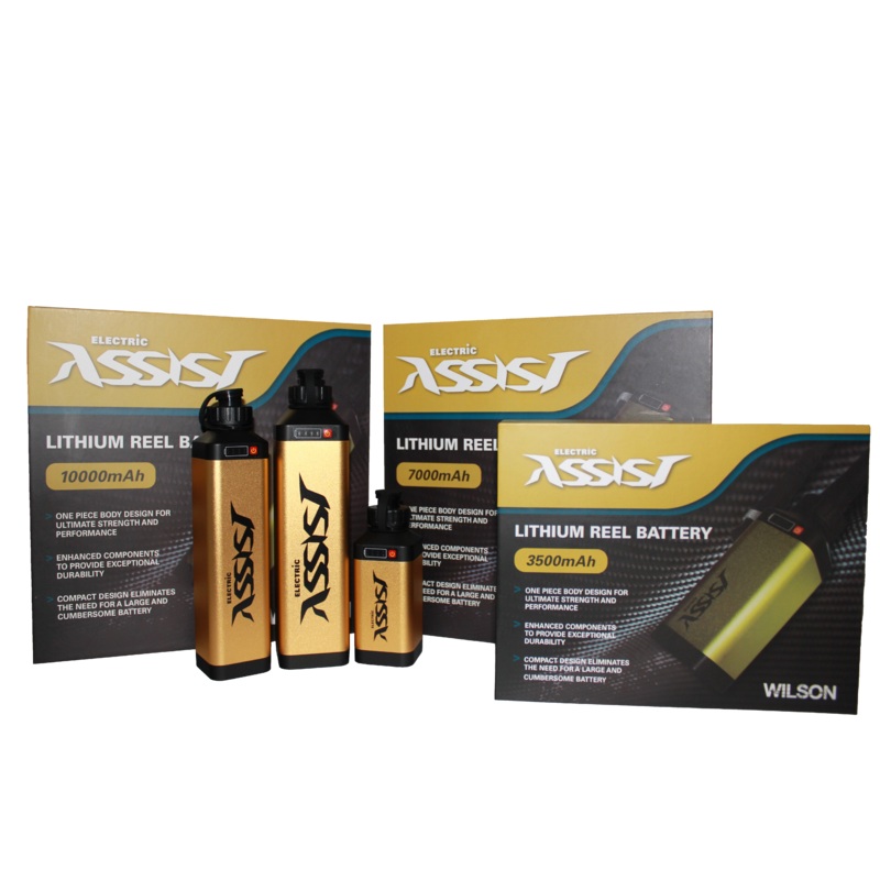 Wilson Reel Battery kit complete 10Ah