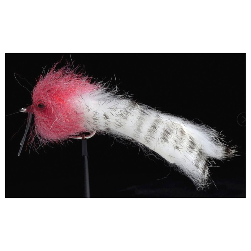 Manic Barra Bunny Pink/White