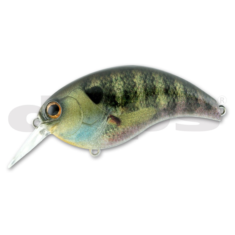 DEPS Evoke 2.0 – 66.5 mm #01