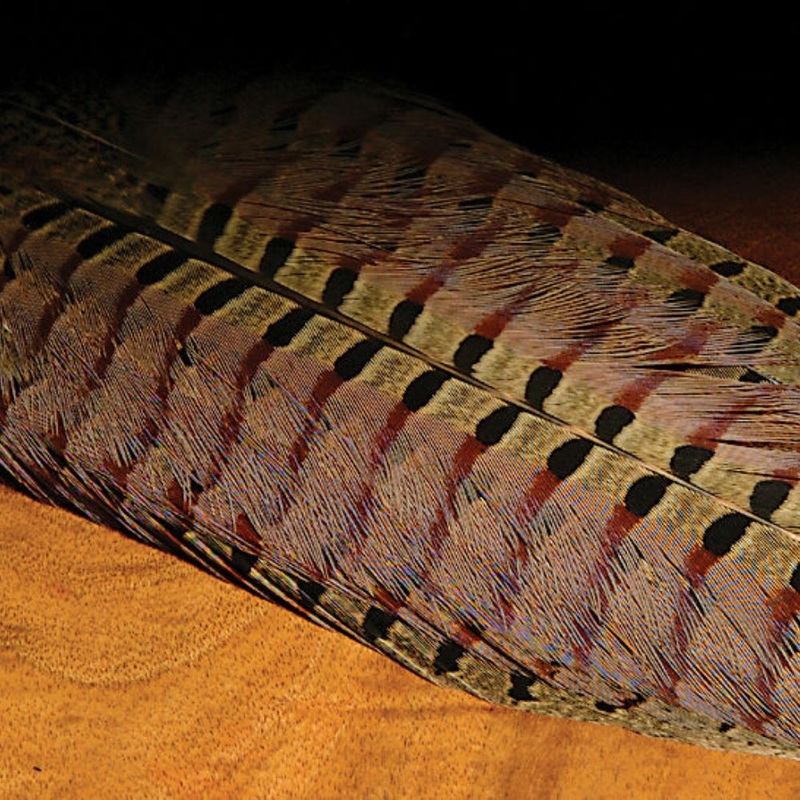 Hareline Ringneck Pheasant Complete Tail Clump NATURAL