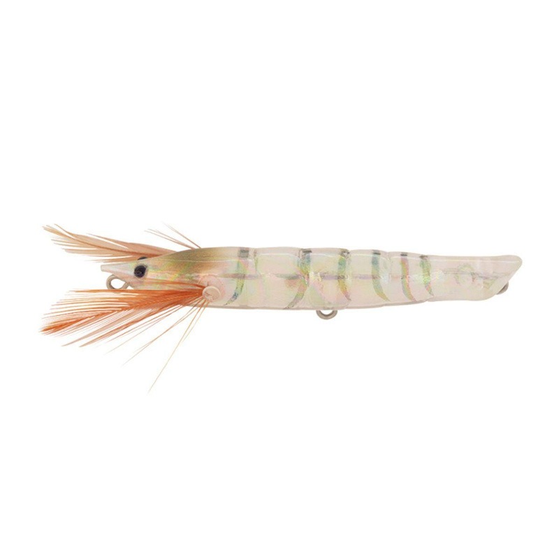 Jackson Ebi Panic 70 BLS