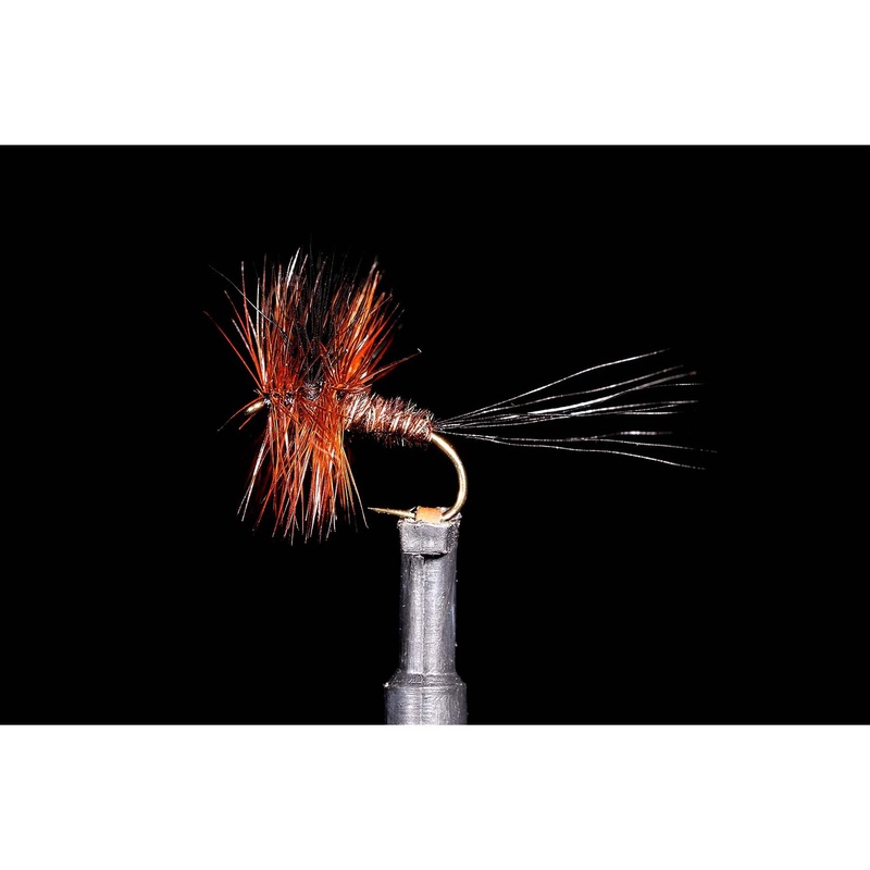Wave Rider Dun Freshwater Fly #12