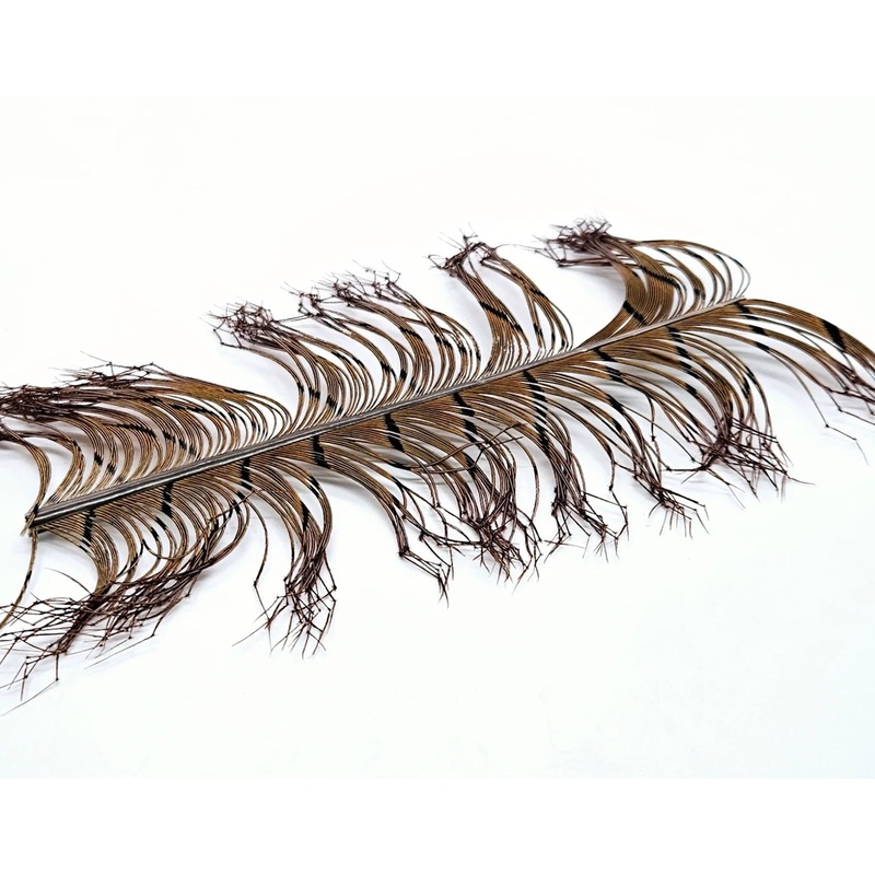 Cock Pheasant Knotted Tails Natural