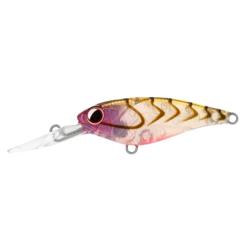 Daiwa Infeet Kodachi 40mm Bloodworm