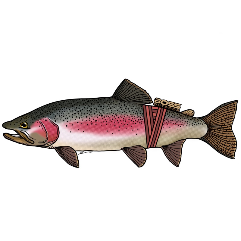 Boss/Headwaters Fish Sticker 120MM Eucumbene Rainbow Trout
