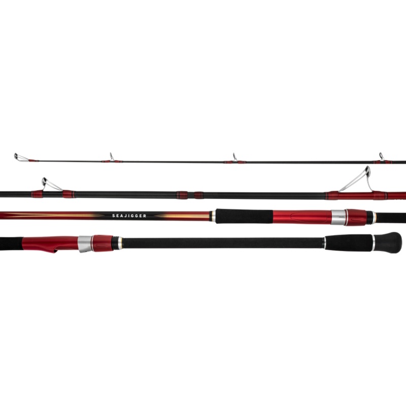 Daiwa 23 Seajigger Surf Spin Rod 1002ML