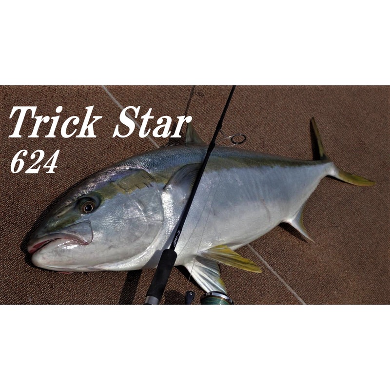 TRUTH JAPAN Trick Star 624 (Jiging Spinning Model for Yellowtail)