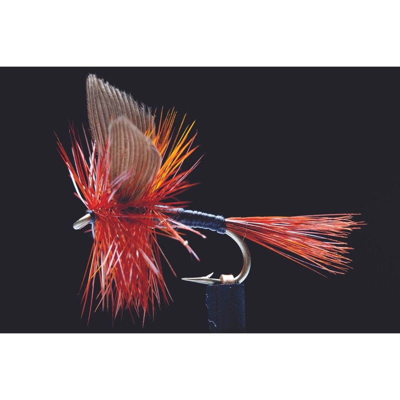 Twighlight Beauty Freshwater Fly #14