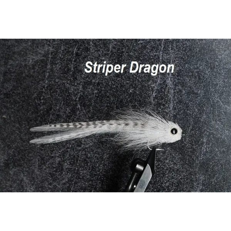 Striper Dragon Olive
