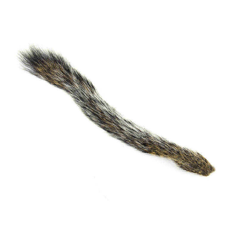 SQUIRREL TAIL GRAY