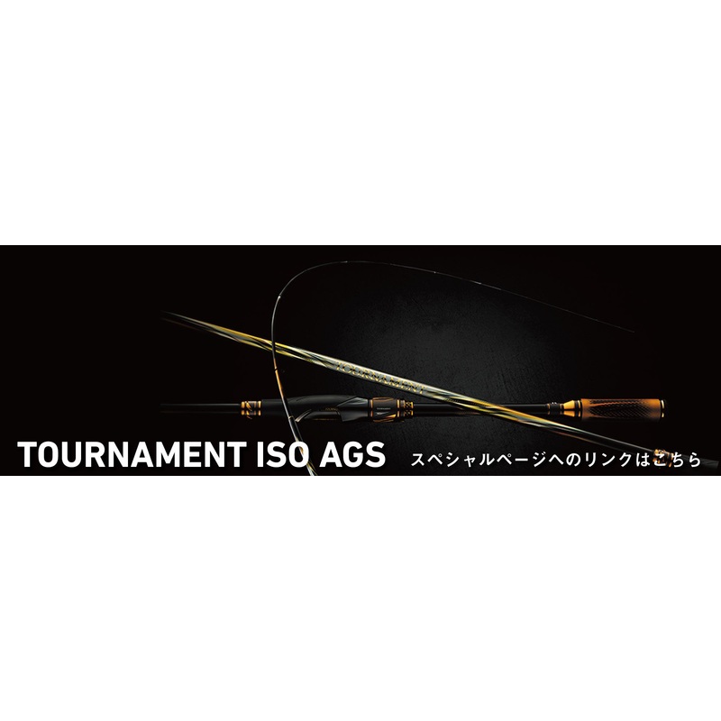 Daiwa 24 Tournament ISO AGS L-50