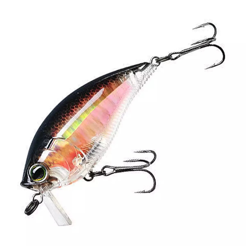 YO-ZURI 3DR Wake Bait (F) – 70mm #RBG