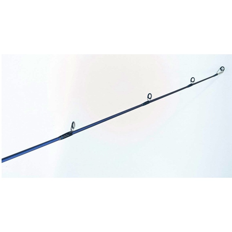 NS Black Hole Demersal Explorer Jigging Overhead Rod C-582