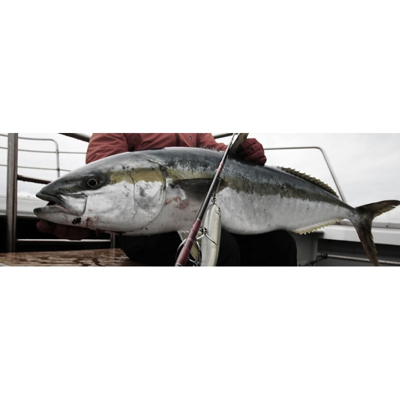 MC Works Explosion EXP836CTR (Full Contact Special)