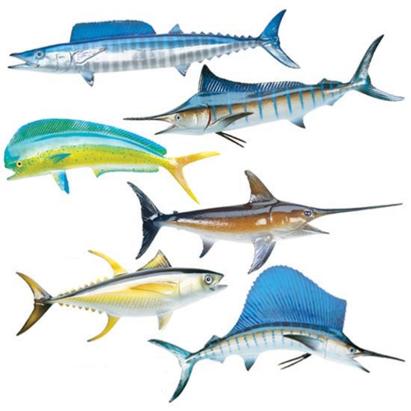 King Sailfish Miniature Fish Mounts BLUE MARLIN