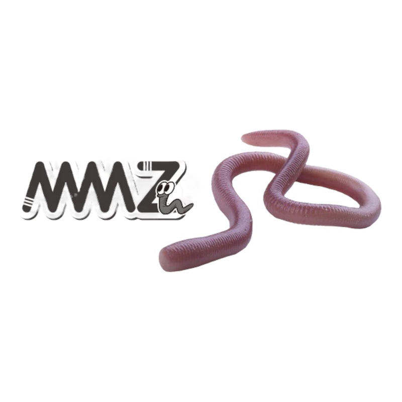 OSP MMZ Soft Plastic Worm Chibi – 5″ Bait Natural (W066)