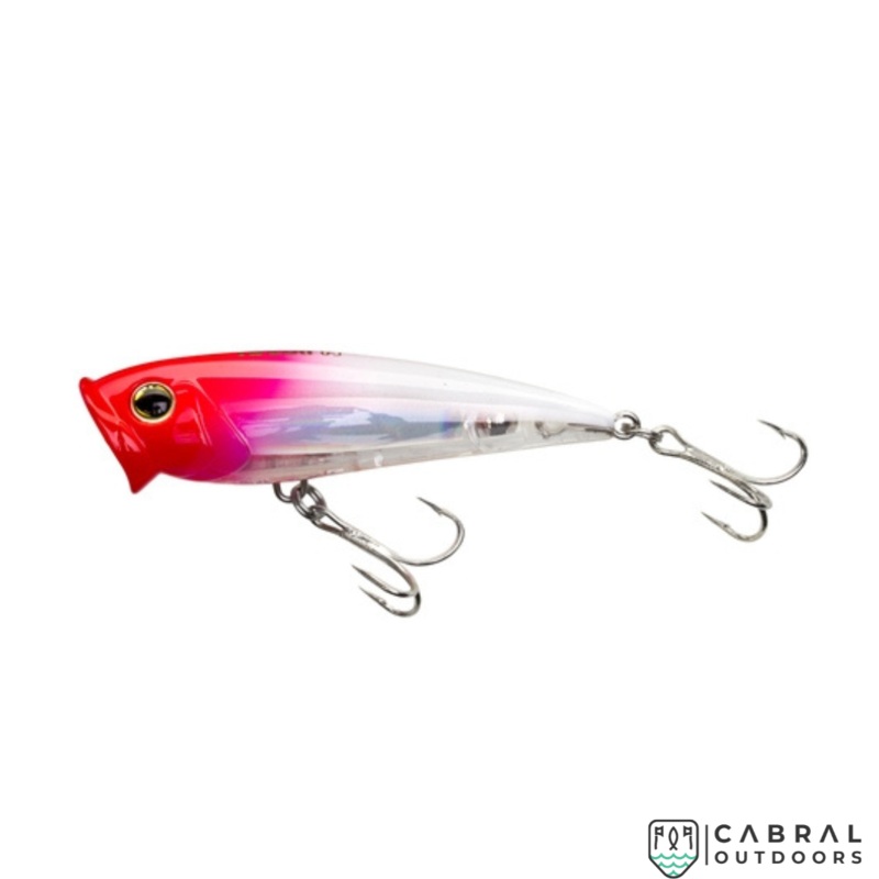 Yo-Zuri 3D Inshore Popper (F) Hard Lure | Size: 70mm | 8.5g C5