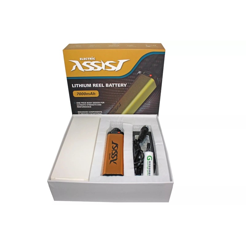 Wilson Reel Battery Kit 10AH