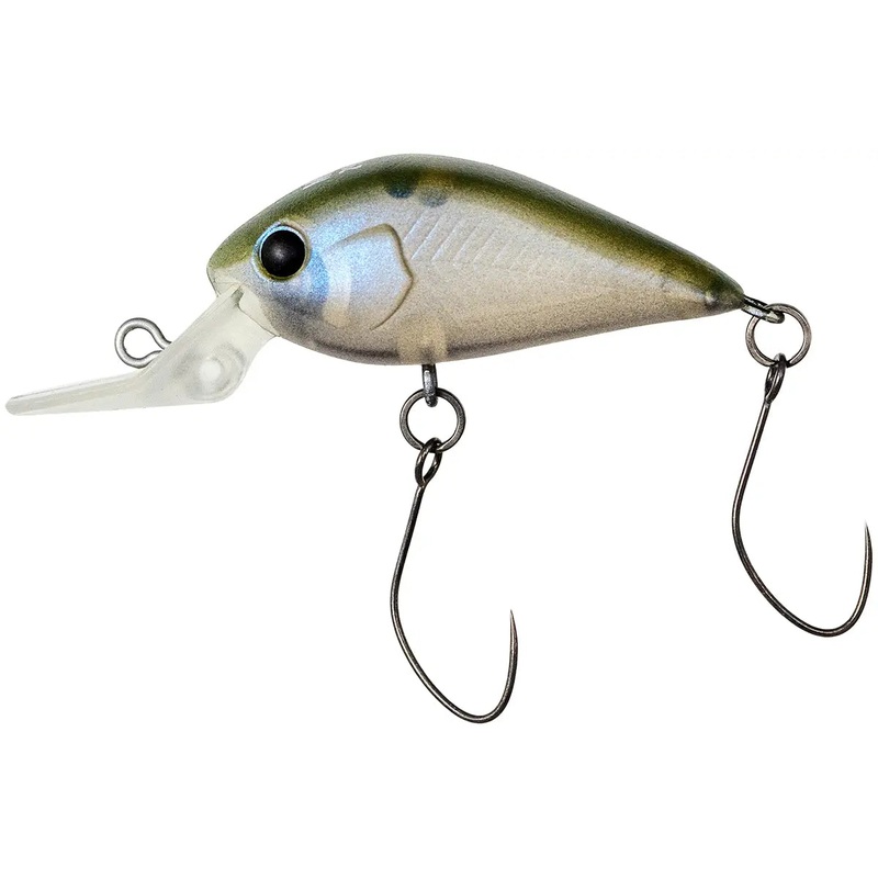 NORIES Meet 29DR-F – 29 mm #109