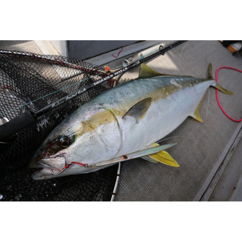 MC Works Real Fusion RF673LR (Standard Model)