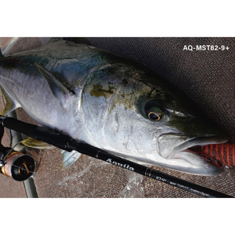 Ripple Fisher Aquila MST 82-9+ (2022 New)