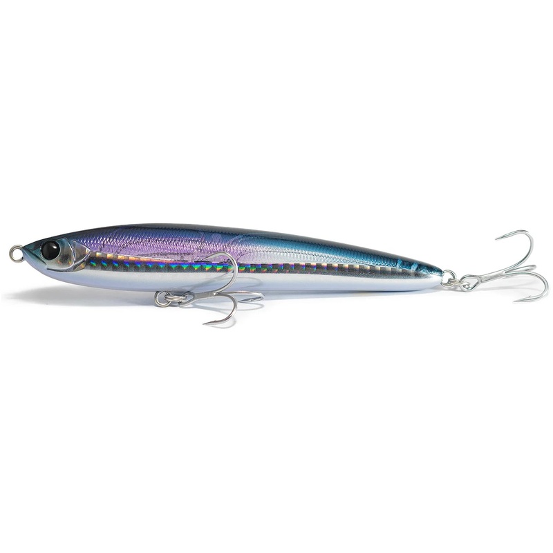 Apia Baleine 125F 11