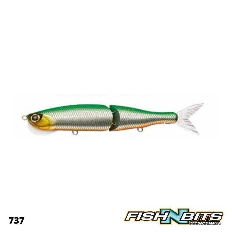 Evergreen – Sea Drive #737