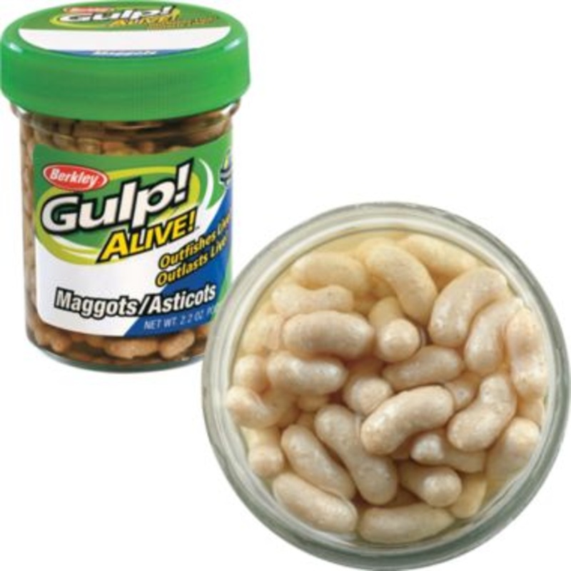 Berkley Gulp Alive! Maggots White