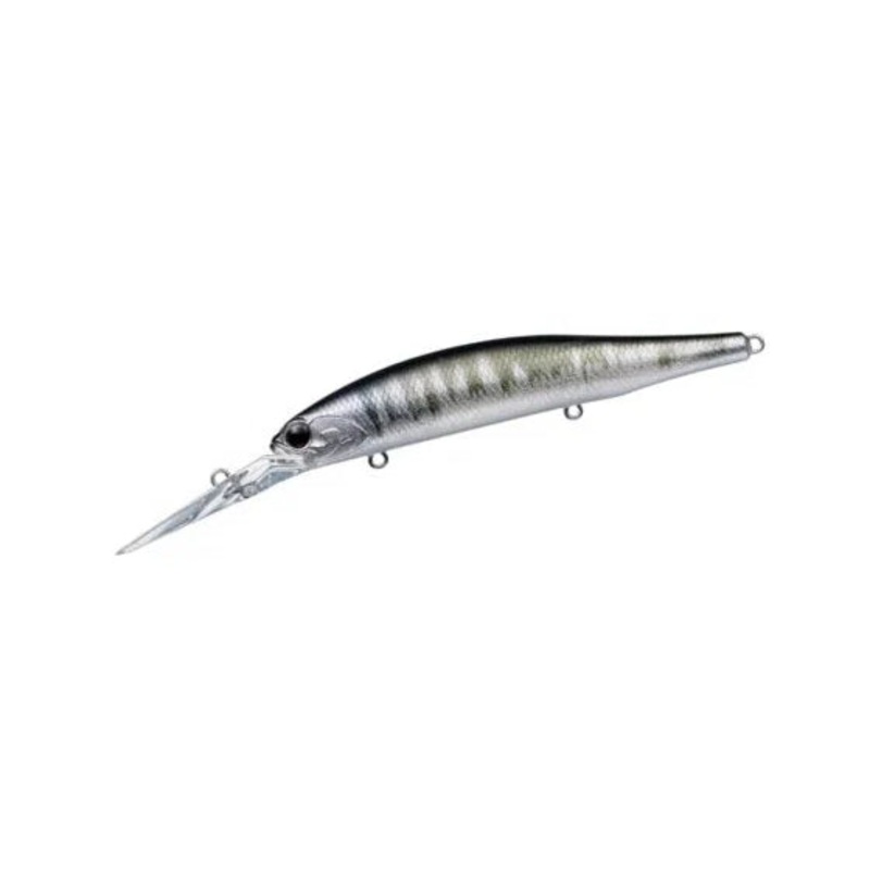 EVERGREEN LB Roller – 100 mm #275