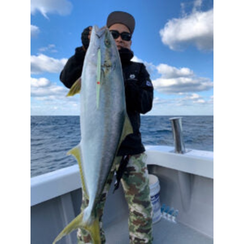 MC Works Magic Trigger 661LR STD